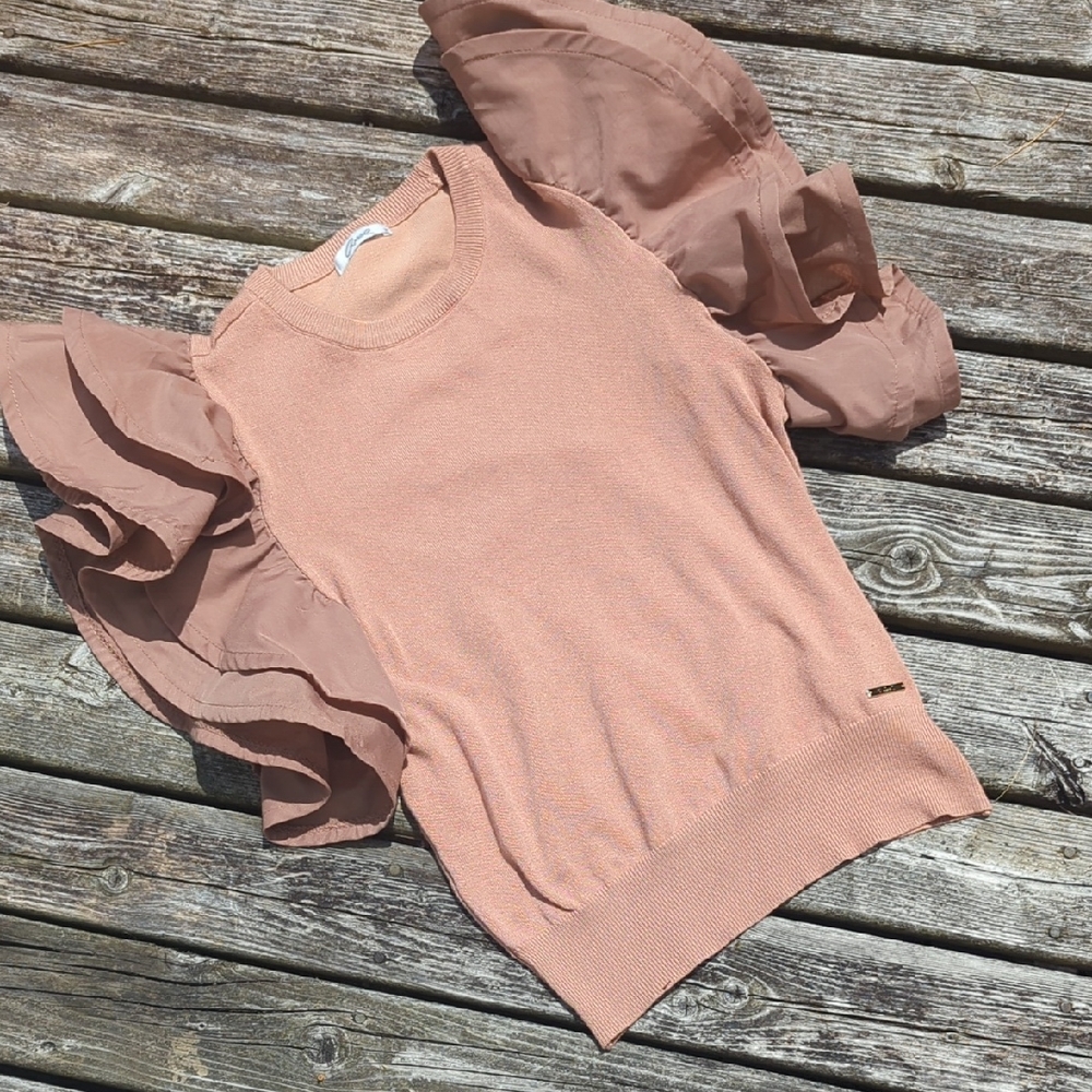 Ruffled Sleeve Blush Top